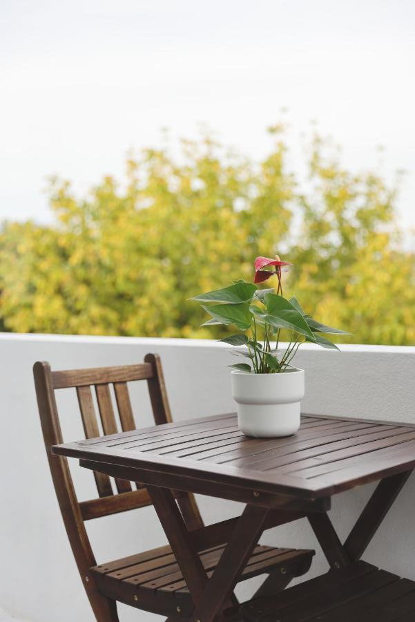 Boavista Sunlit Duplex With Terrace Διαμέρισμα Πόρτο Εξωτερικό φωτογραφία
